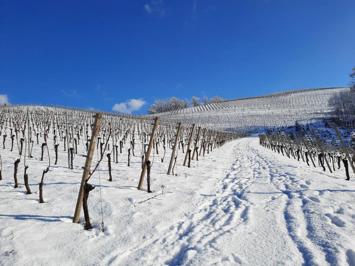 Ferienwohnung Am Weinberg Oberkirch  Bagian luar foto