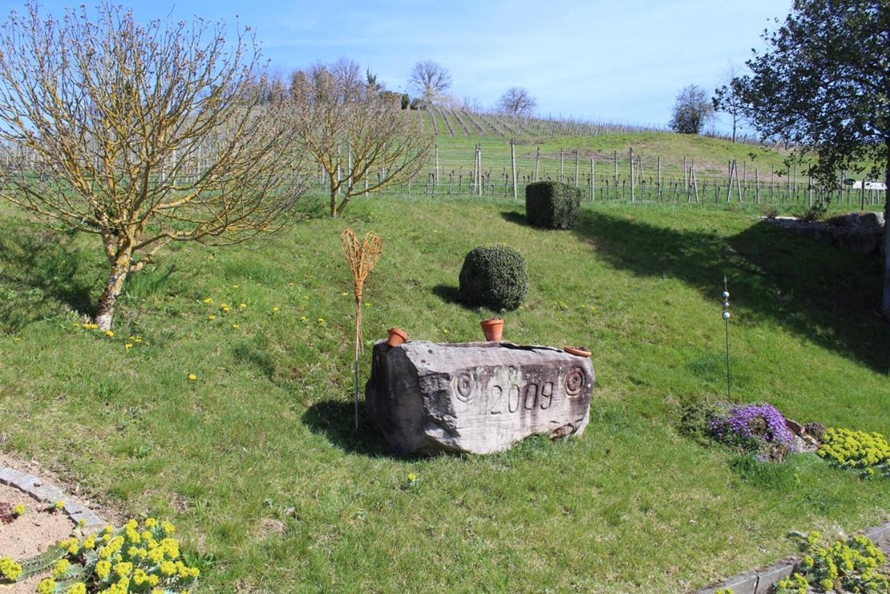 Ferienwohnung Am Weinberg Oberkirch  Bagian luar foto