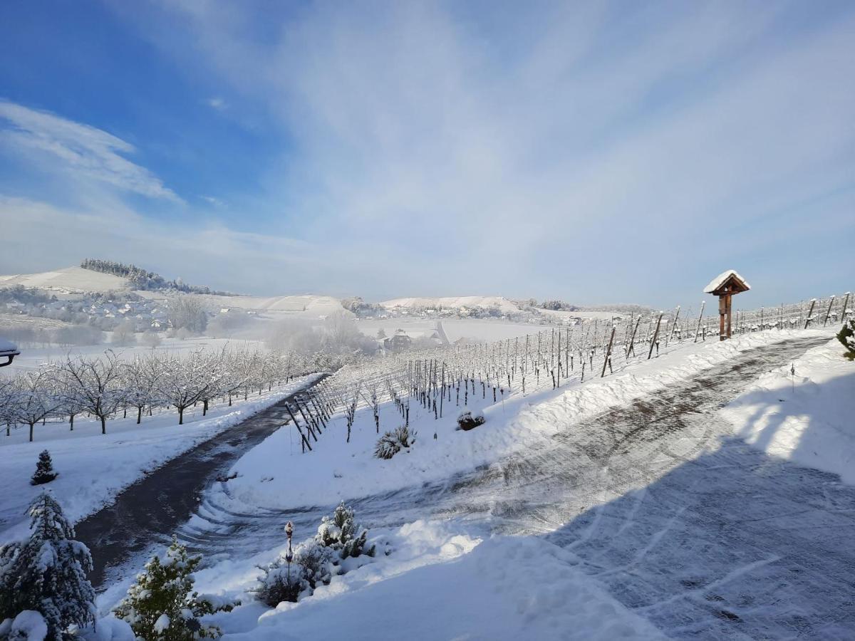 Ferienwohnung Am Weinberg Oberkirch  Bagian luar foto