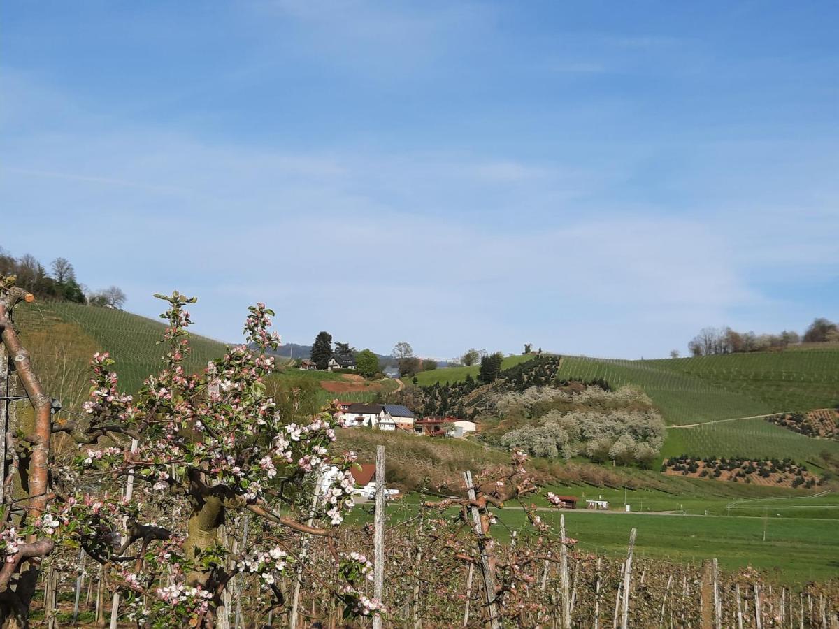 Ferienwohnung Am Weinberg Oberkirch  Bagian luar foto