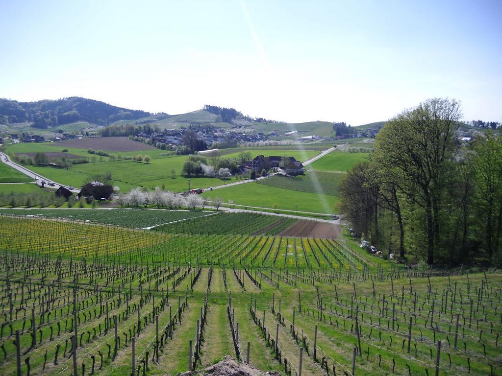 Ferienwohnung Am Weinberg Oberkirch  Bagian luar foto
